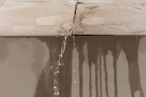 Professional Burst Pipe Cleanup technician working in Adkins, TX